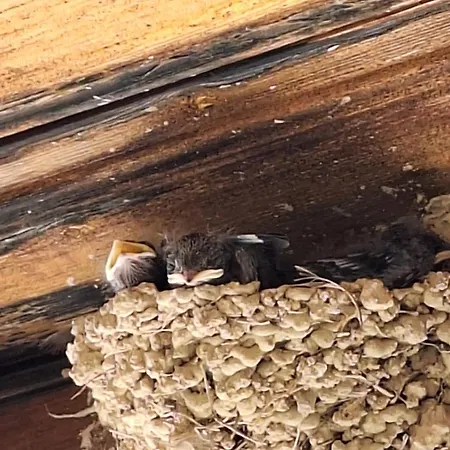 منزل ريفي το κονάτζι Statos-Agios Fotios