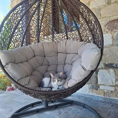 το κονάτζι *