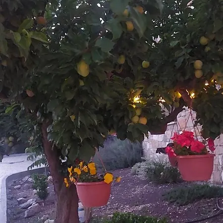 το κονάτζι Statos-Agios Fotios