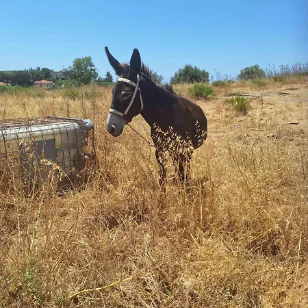 Εξοχικό σπίτι το κονάτζι