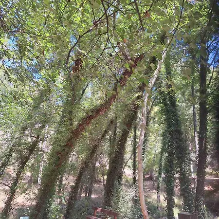 το κονάτζι Landhuis *