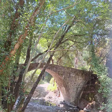 το κονάτζι *