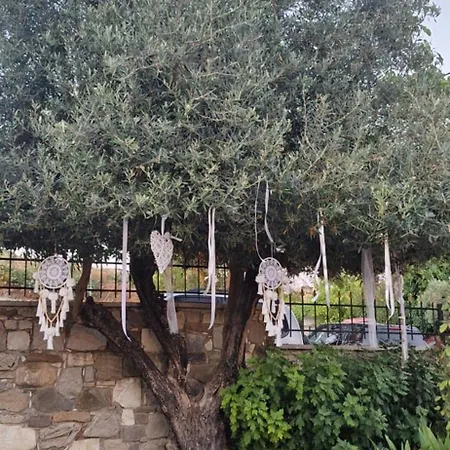 το κονάτζι *