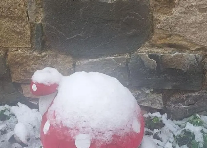 το κονάτζι Lantställe