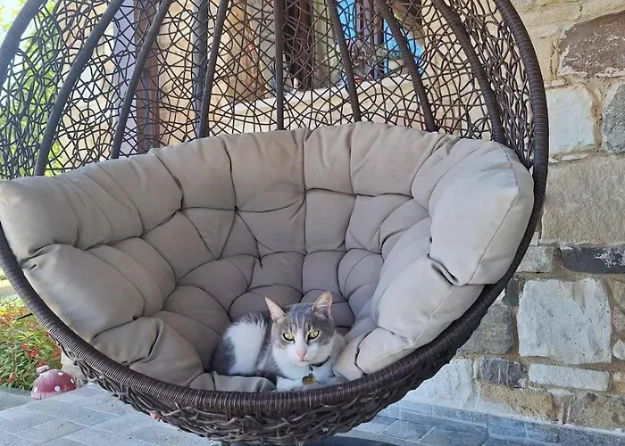 το κονάτζι *