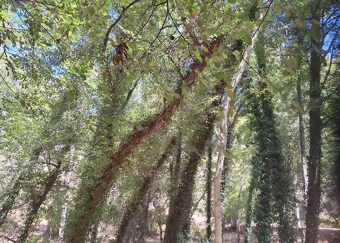 το κονάτζι Lantställe *