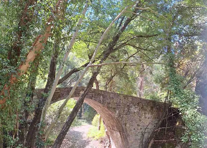 το κονάτζι *